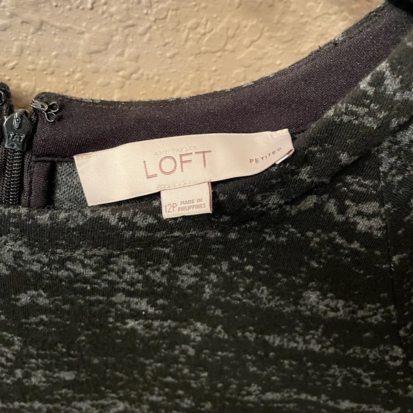 Loft Dress Size 12P Women Fit & Flare Short Sleeve - Picture 4 of 4